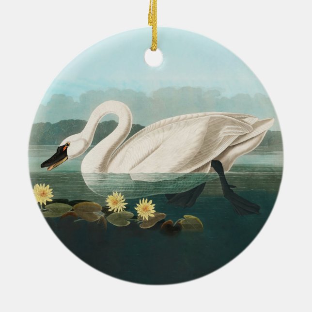 swan audubon bird white water swans ceramic ornament (Back)