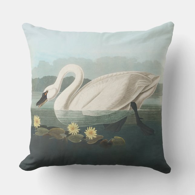 swan audubon bird white water swans cushion (Front)