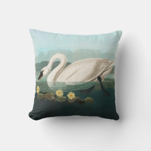 swan audubon bird white water swans cushion