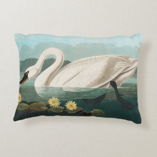 swan audubon bird white water swans decorative cushion