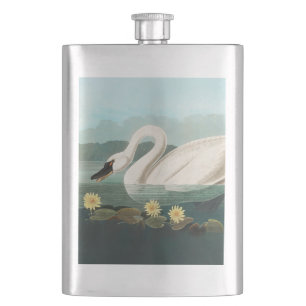 swan audubon bird white water swans hip flask