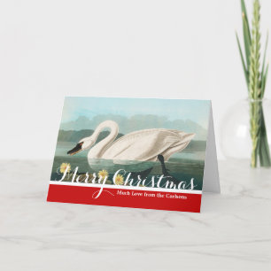 swan audubon bird white water swans holiday card