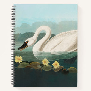 swan audubon bird white water swans notebook