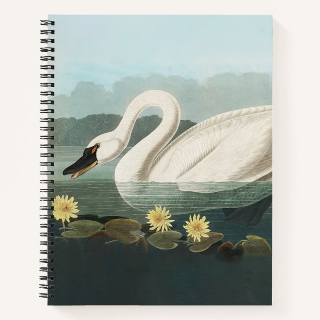 swan audubon bird white water swans notebook (Front)