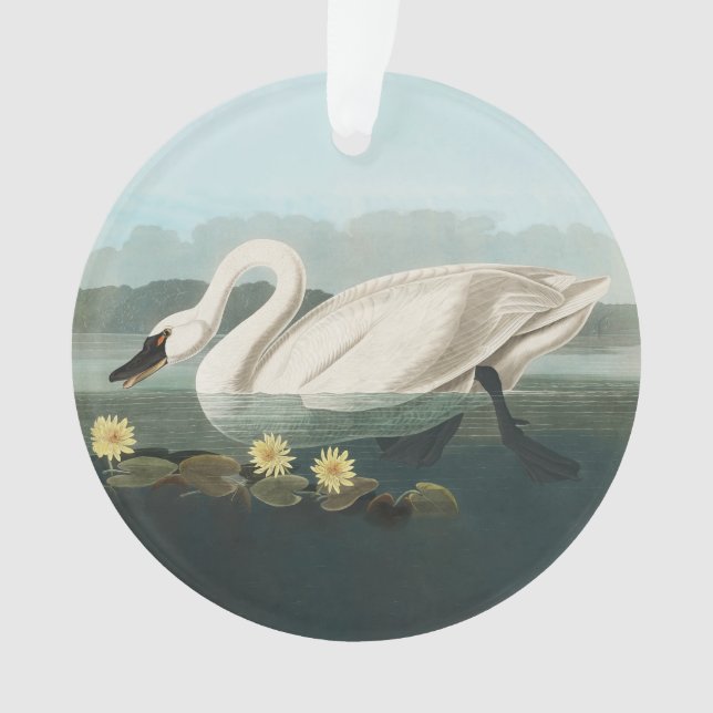 swan audubon bird white water swans ornament (Front)