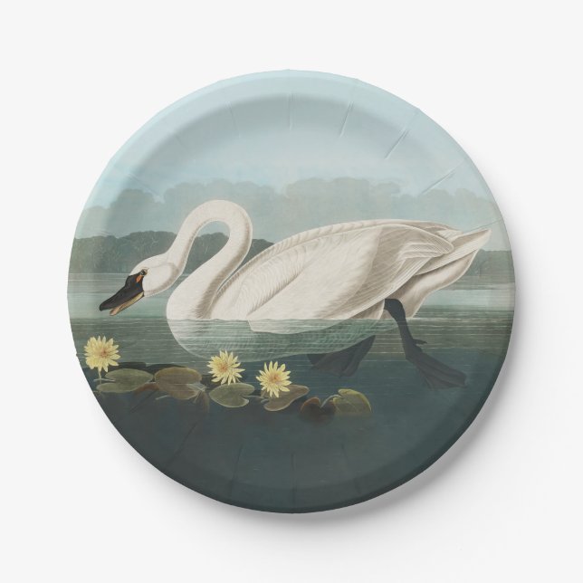 swan audubon bird white water swans paper plate (Front)