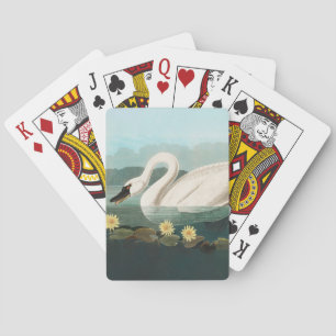 swan audubon bird white water swans playing cards