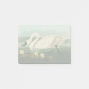 swan audubon bird white water swans post-it notes
