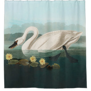 swan audubon bird white water swans shower curtain
