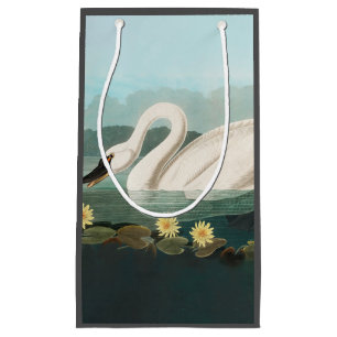 swan audubon bird white water swans small gift bag