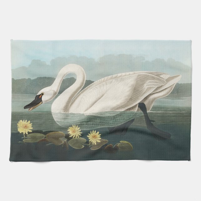 swan audubon bird white water swans tea towel (Horizontal)