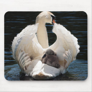 swan baby swan white mouse pad