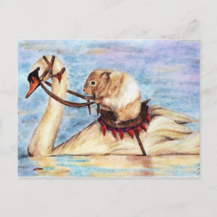 Swan Back Riding (Hamster) Postcards
