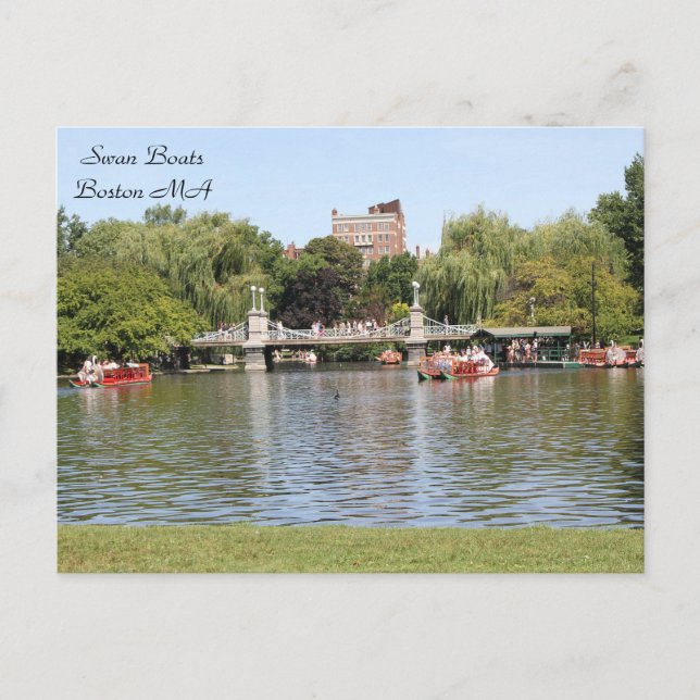 Swan Boats, Boston, MA, photography Postcard (Front)