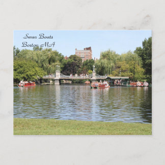 Swan Boats, Boston, MA, photography Postcard