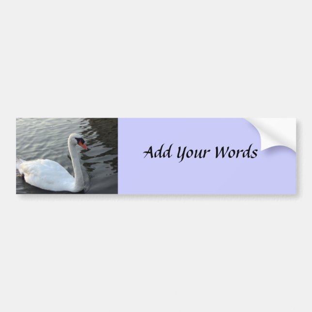 Swan Bumper Sticker (Front)