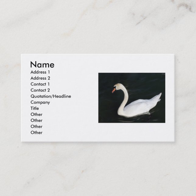 Swan Business Card (Front)
