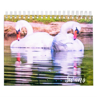 Swan Calendar