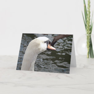Swan Card