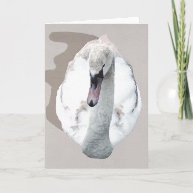 Swan. Card (Front)