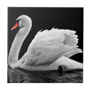 Swan Ceramic Tile