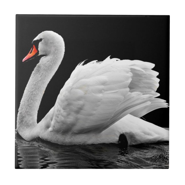 Swan Ceramic Tile (Front)