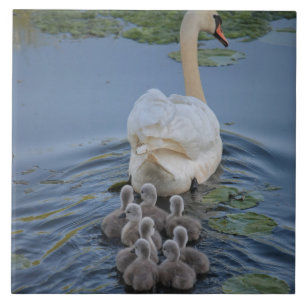 Swan Ceramic Tile