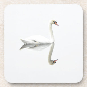 Swan Coaster
