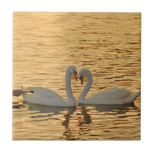 Swan Couple Meeting at Sunset Photograph Tile