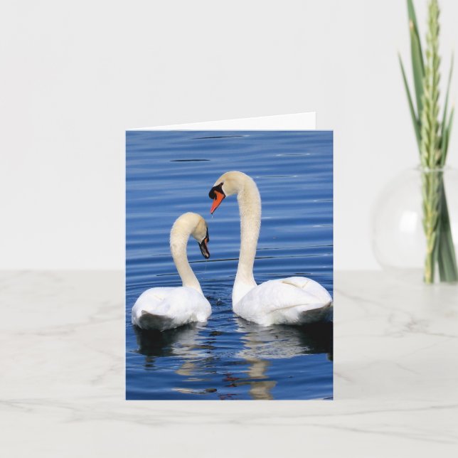 Swan couple notecard greeting card set (Front)