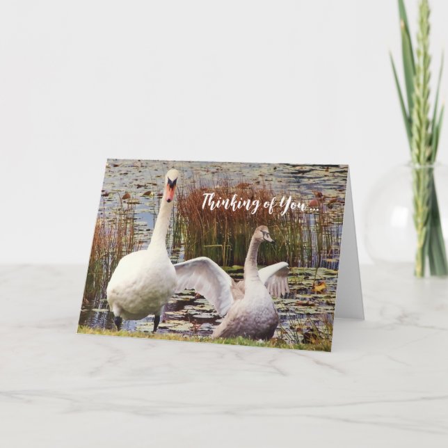 Swan Duck Blank Inside Thinking of You Card (Front)