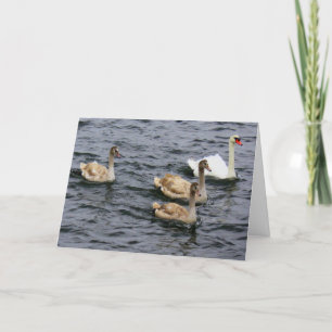 Swan Family Card