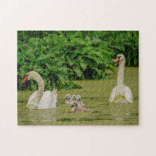 Swan Family Jigsaw Puzzle
