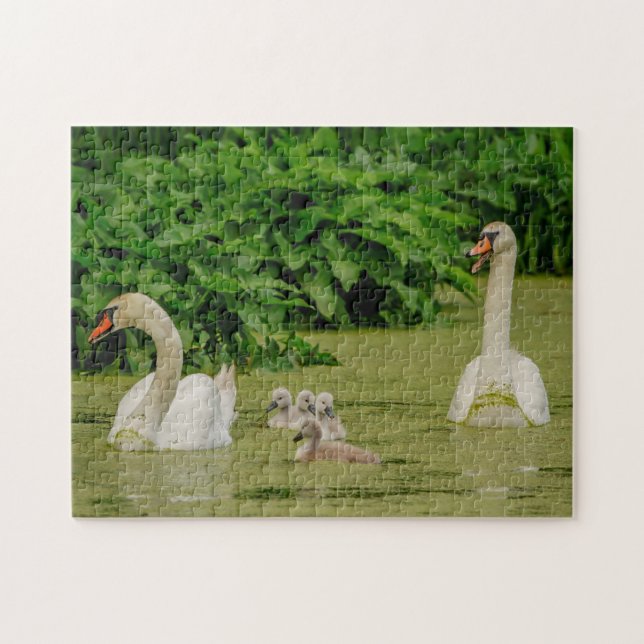 Swan Family Jigsaw Puzzle (Horizontal)