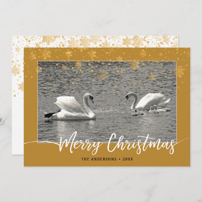 Swan Family Merry Christmas Flat Card (Front/Back)