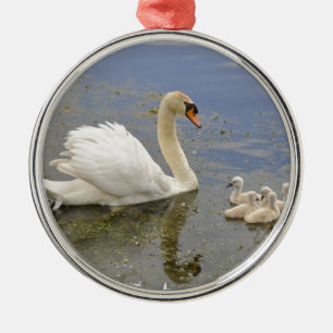 Swan Family Metal Ornament
