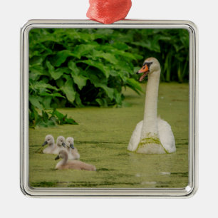 Swan Family Metal Ornament