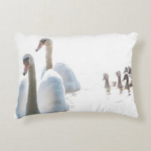 Swan Family Nature Photography