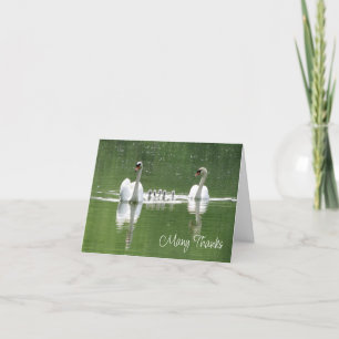 Swan Family Photograph Thank You Card