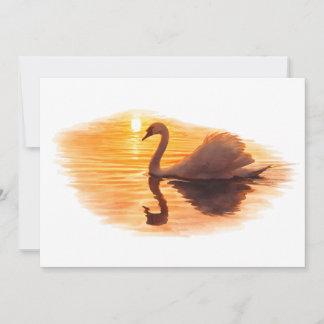 Swan Gliding at Sunset Invitation