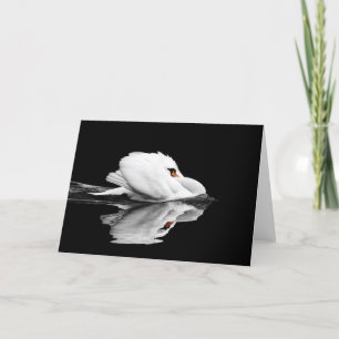 Swan greeting card