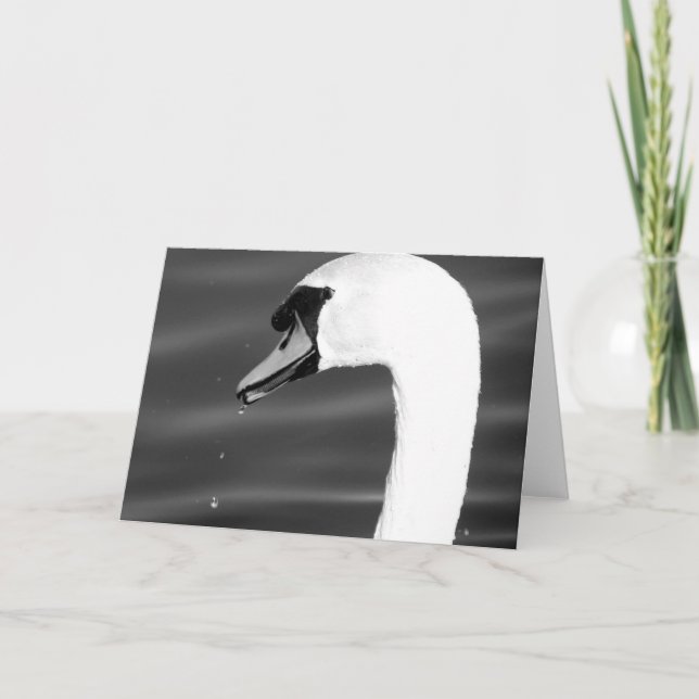 Swan in black and white card (Front)