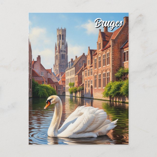 Swan in Bruges Belgium Travel Souvenir Postcard (Front)