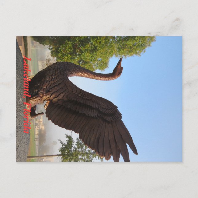 Swan in Flight Lakeland, Florida Postcard (Front)