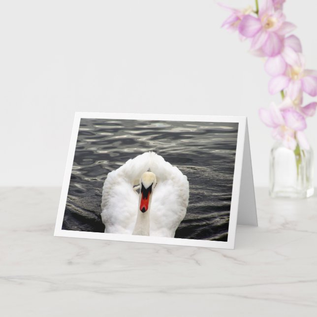 Swan in Lake Portrait Card (Orchid)