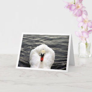 Swan in Lake Portrait Card