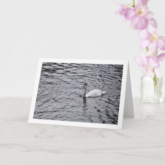 Swan in Lake Portrait Card (Orchid)