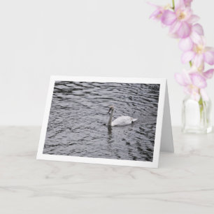 Swan in Lake Portrait Card