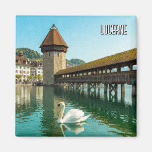 Swan in Lucerne Switzerland Travel Magnet