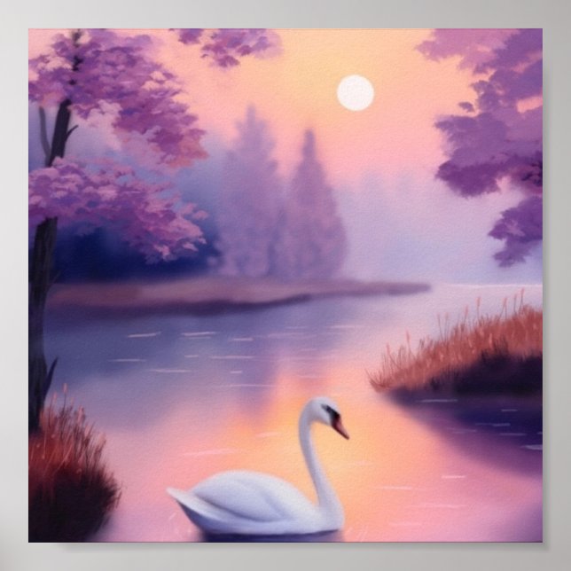 swan in the pond during sunset poster (Front)
